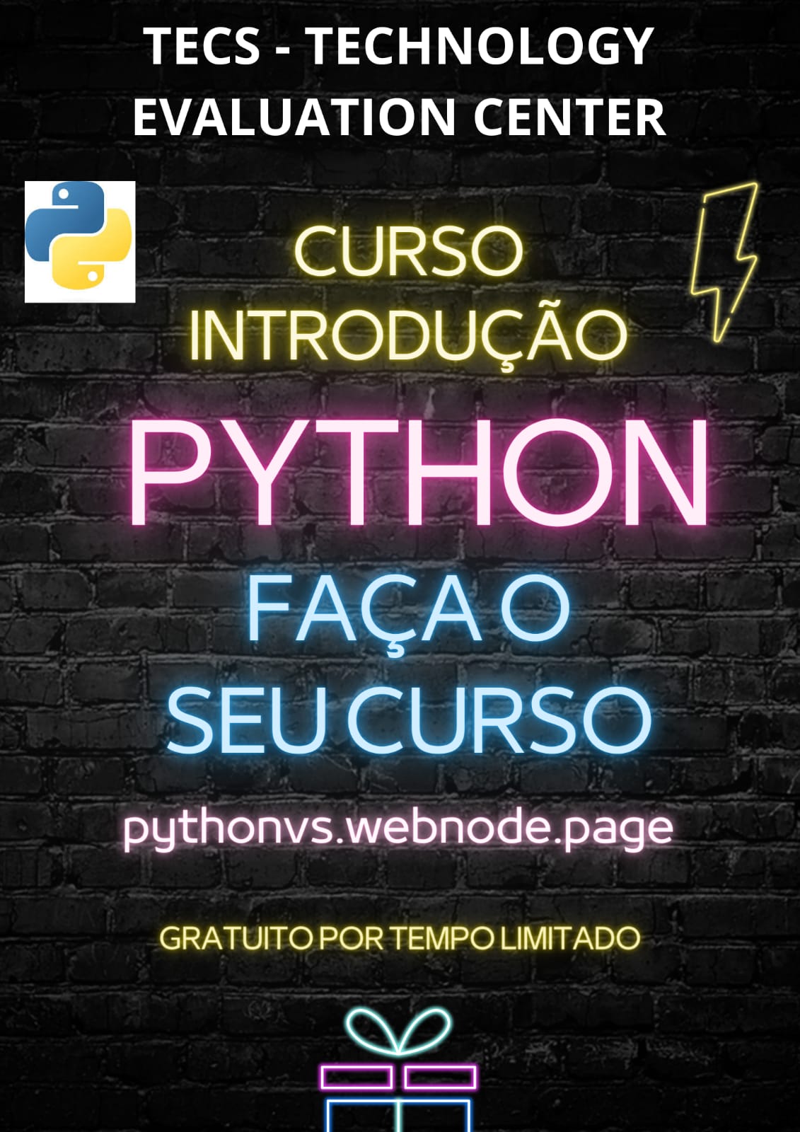 CURSO INTRODUÇÃO A PYTHON